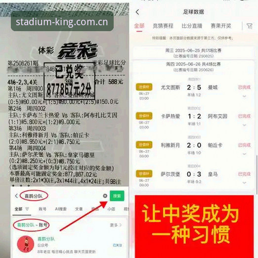 官网App vs 第三方下载：球王会怎么下载最新版？实战派操作指南